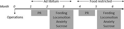 Leptin Receptor Expressing Neurons in the Substantia Nigra Regulate Locomotion, and in The Ventral Tegmental Area Motivation and Feeding